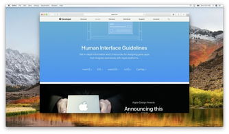WWDC 设计分会 跨平台设计中的平台适配与风格协调
