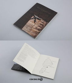 版式设计技巧 图文组合在展览展示服务中的要义